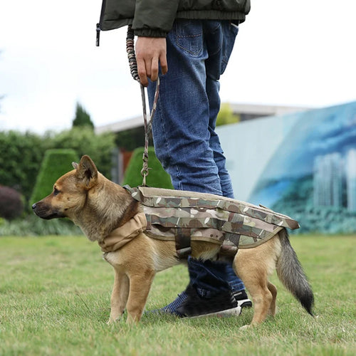Correa Táctica para Perros – Nylon Militar con Hebilla de Zinc para Entrenamiento