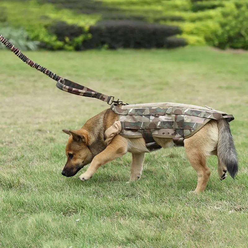 Correa Táctica para Perros – Nylon Militar con Hebilla de Zinc para Entrenamiento